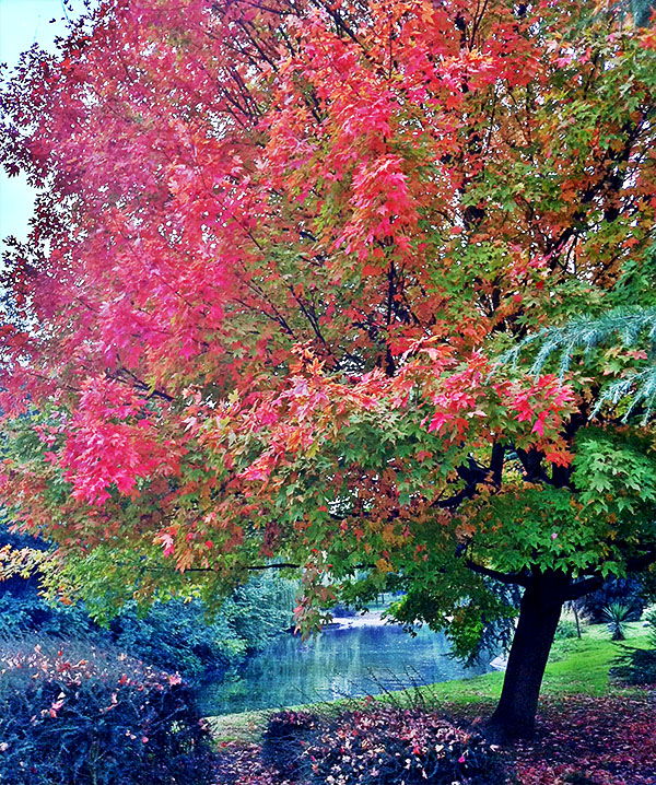 Autumn is here