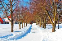 Stavern in record snow fall