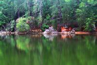 Reflections