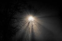 London Fog