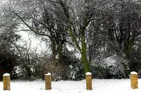 Snowy