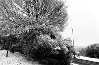 More snow