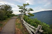 The path