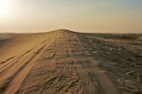 Dune